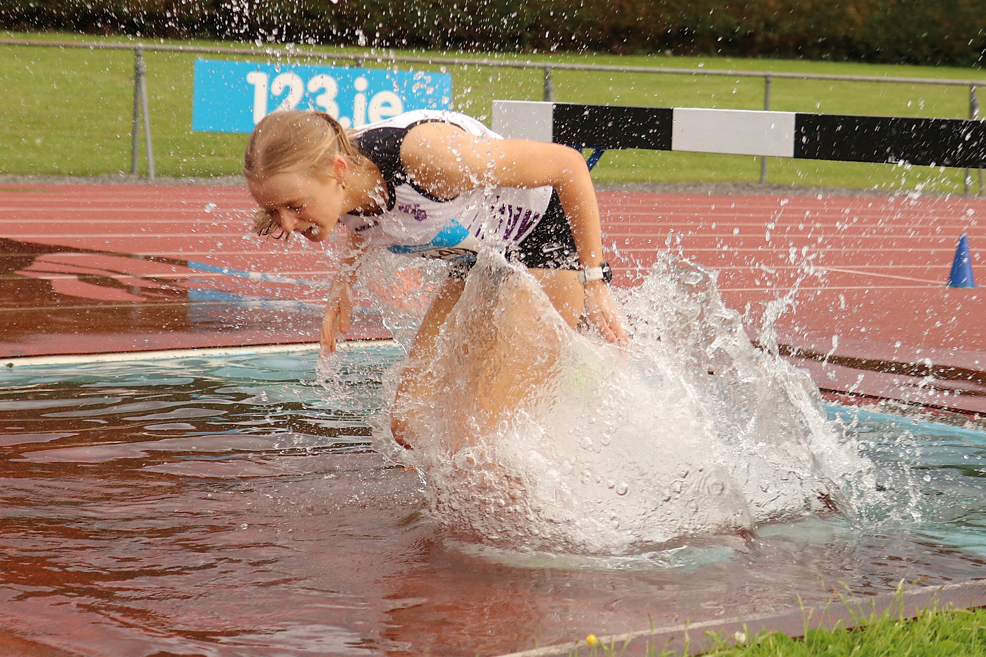 What is Happening in Irish Steeplechase Circles?