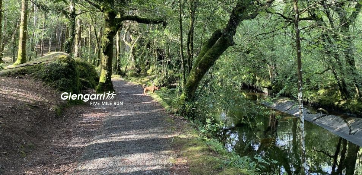 Beara AC's Glengarriff 5 Mile is Back this Saturday and You Can Still Enter