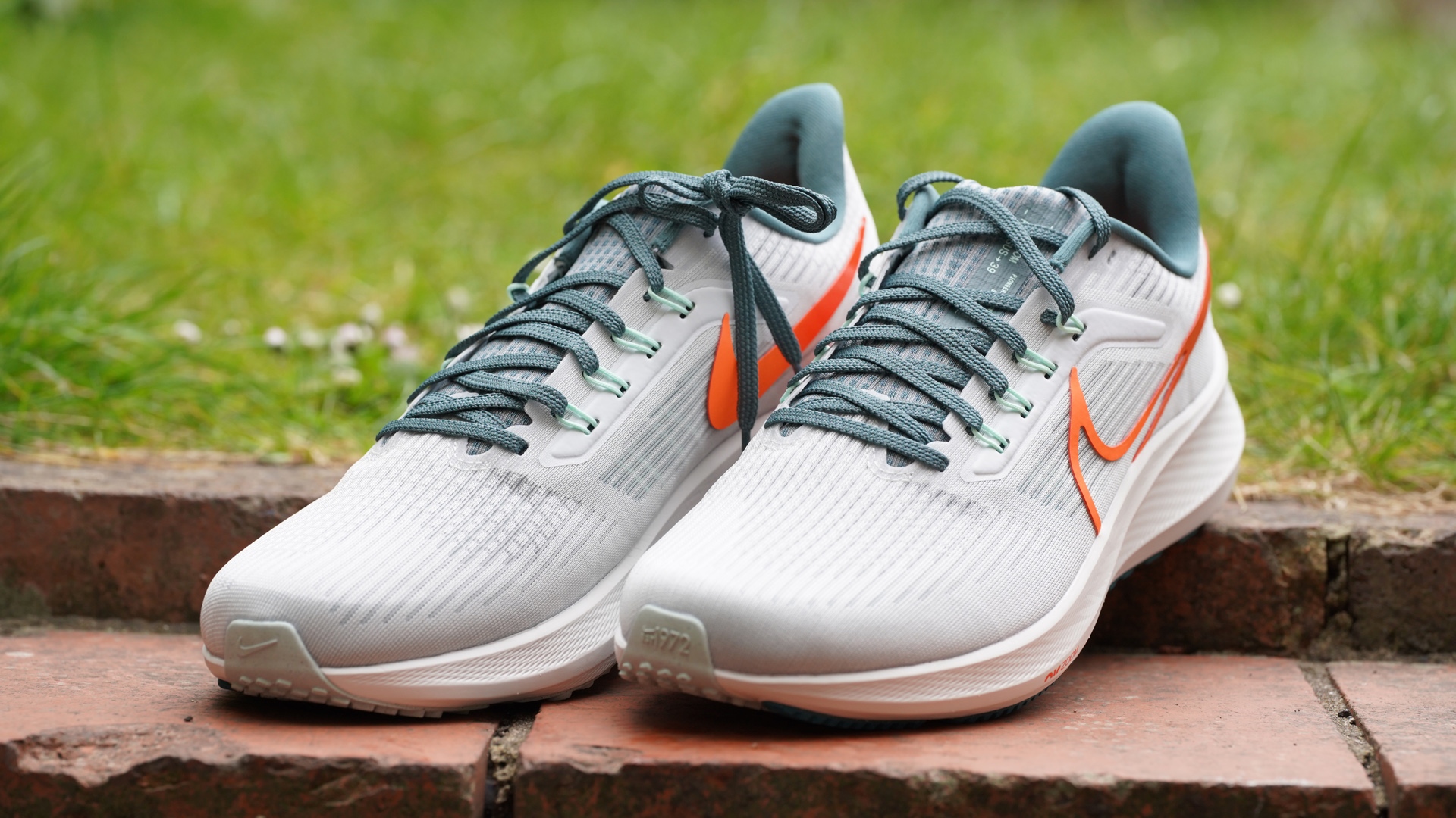 Nike Air Zoom Pegasus 39