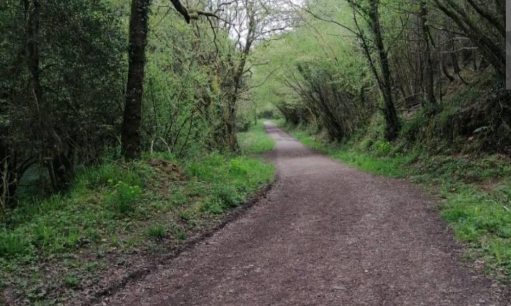 Exciting Kilworth Woods Trail Race Set for Sunday