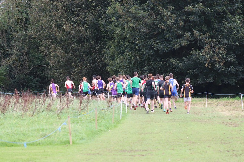 Schools cross